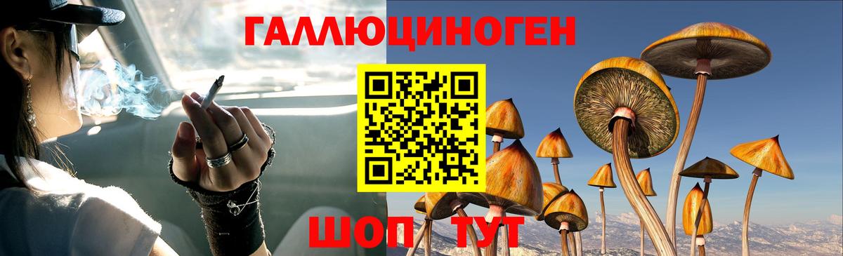 Галлюциногенные грибы Magic Shrooms Кумертау